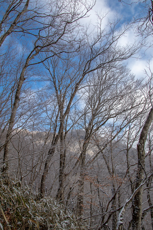 b0244811_23131162.jpg