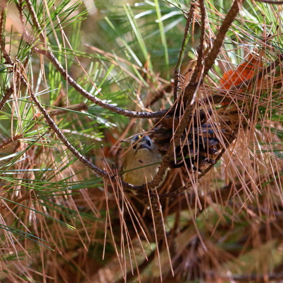 d0346713_18311658.jpg