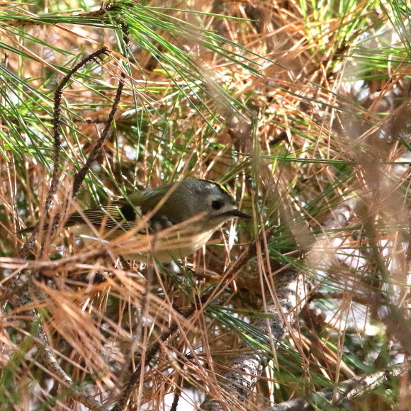 d0346713_18323988.jpg