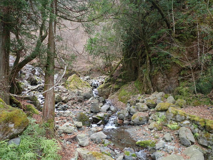 f0193521_1910439.jpg