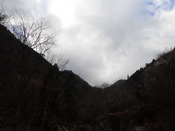 f0193521_1911667.jpg