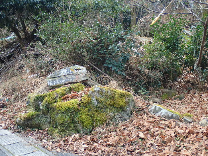 f0193521_197753.jpg