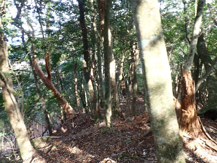 f0193521_2112338.jpg