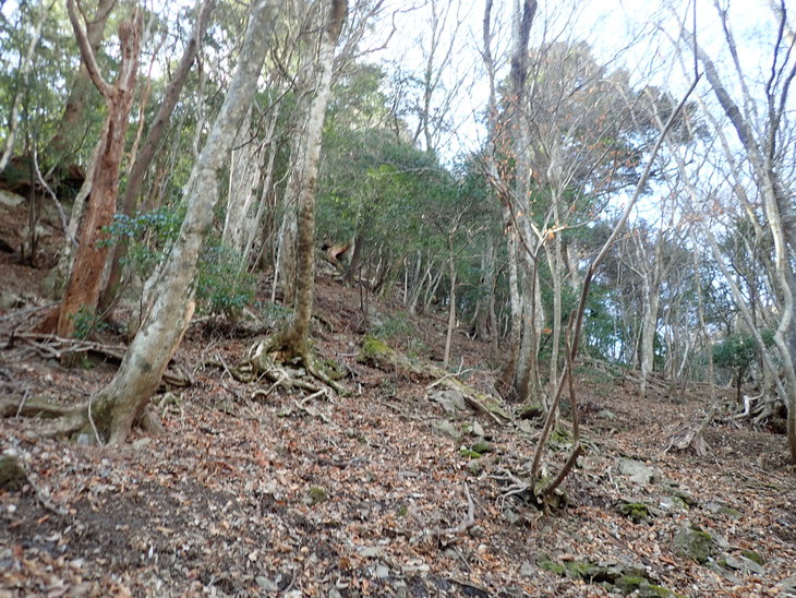 f0193521_2112377.jpg