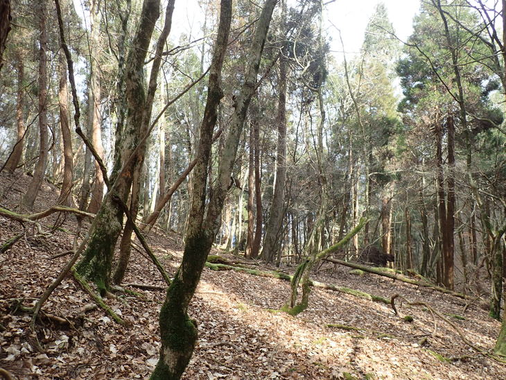 f0193521_2141383.jpg