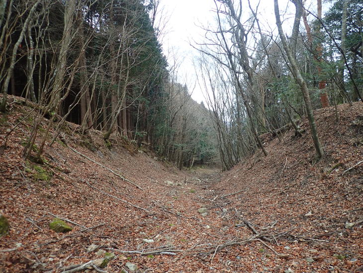f0193521_2173119.jpg
