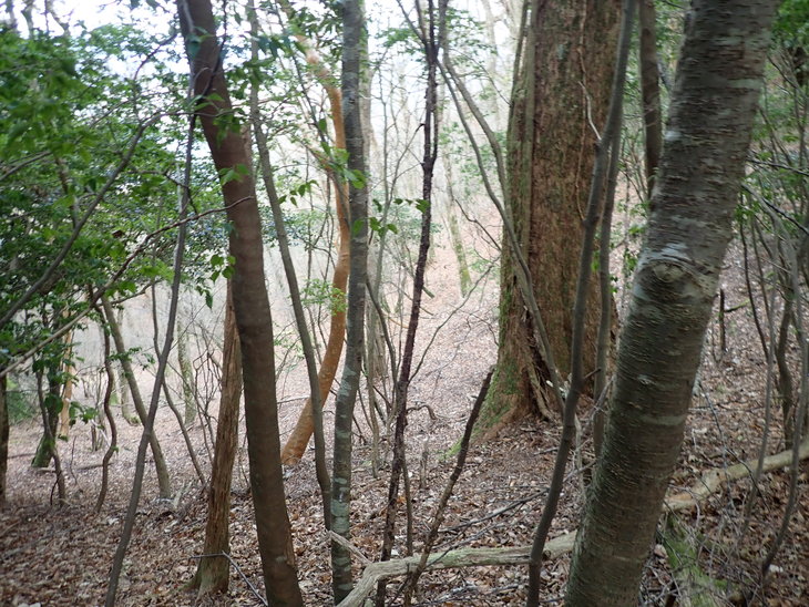 f0193521_2183170.jpg