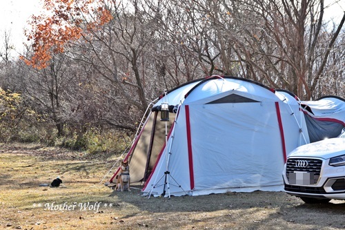 第8回キャンプ『マザーウルフＣＡＭＰ～2018冬～in 静岡』①前篇_e0191026_10560511.jpg