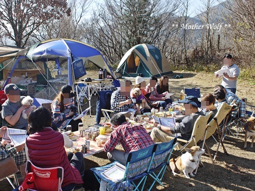 第8回キャンプ『マザーウルフＣＡＭＰ～2018冬～in 静岡』①前篇_e0191026_17225259.jpg