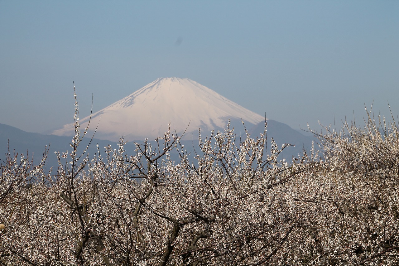 b0162728_111496.jpg