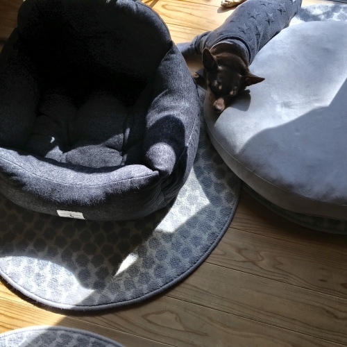a0291132_17124287.jpeg