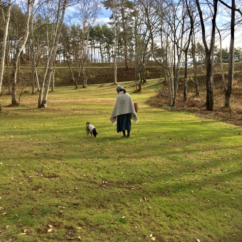 a0291132_18012378.jpeg