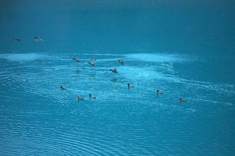 c0067040_18521244.jpg
