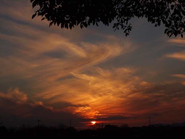c0281841_14545745.jpg