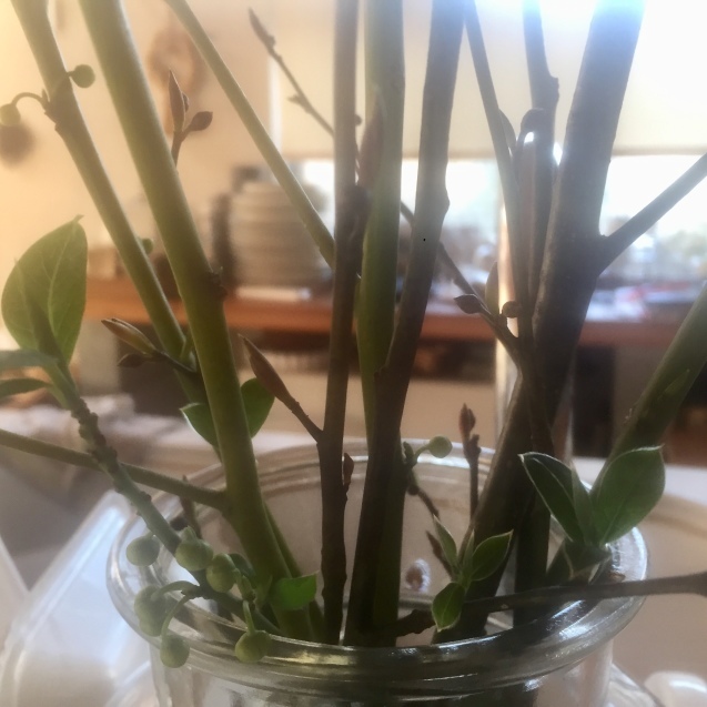 d0145345_21423081.jpeg