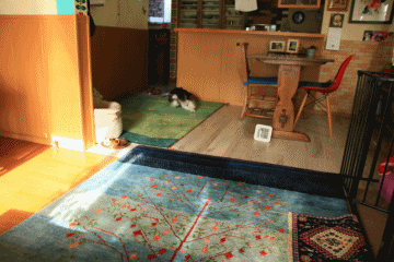 c0145250_09231869.gif