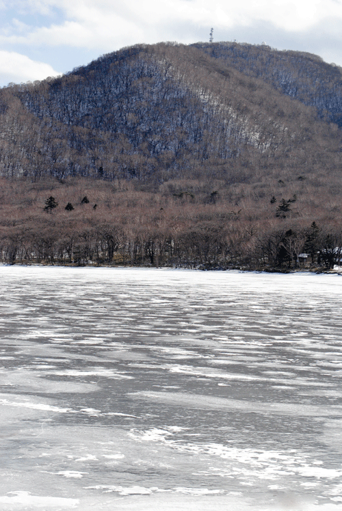 a0001354_18171415.gif