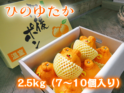 山あいの南高梅 冬の剪定2019 その2:匠の剪定作業!_a0254656_17443277.jpg