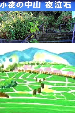 <2017年11月>静岡中部・駿河国(中遠)探訪③:「焼津・島田・牧之原」編_c0119160_22194188.jpg