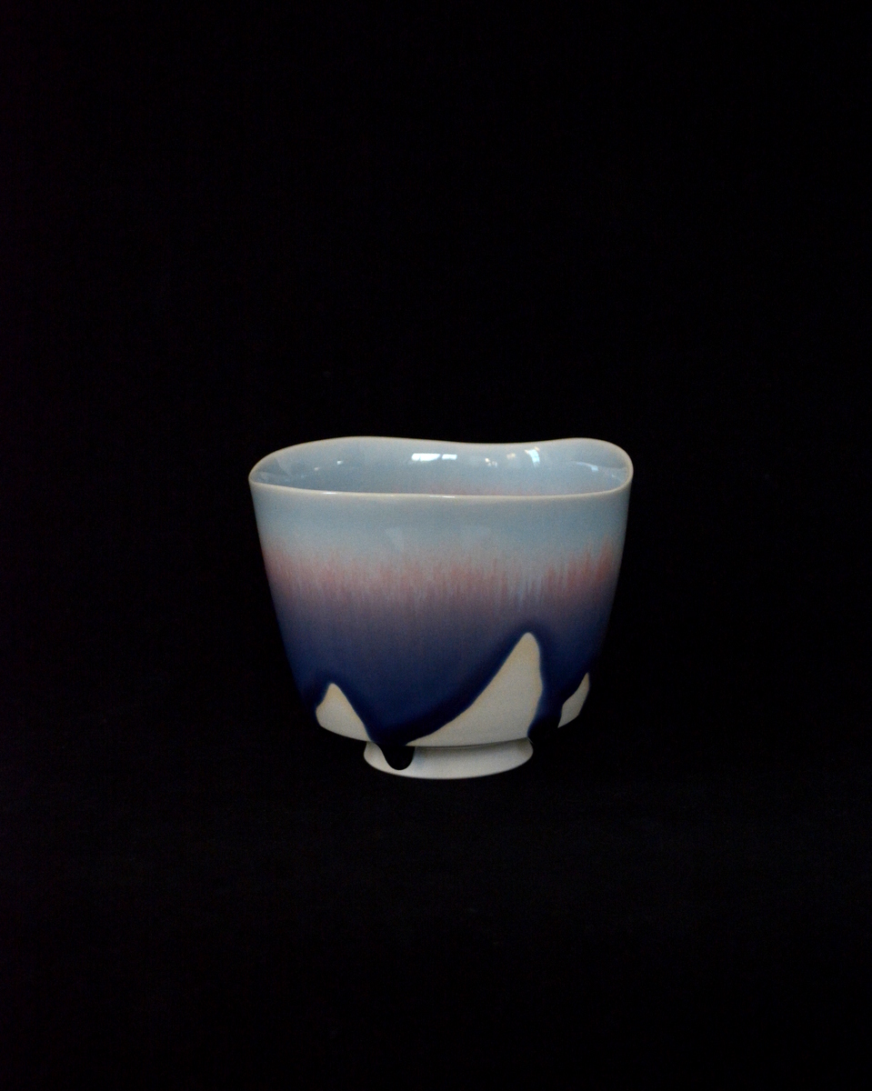 「田中陽子・永草陽平二人展 Glazed Ware」6日目_d0087761_1231230.jpg
