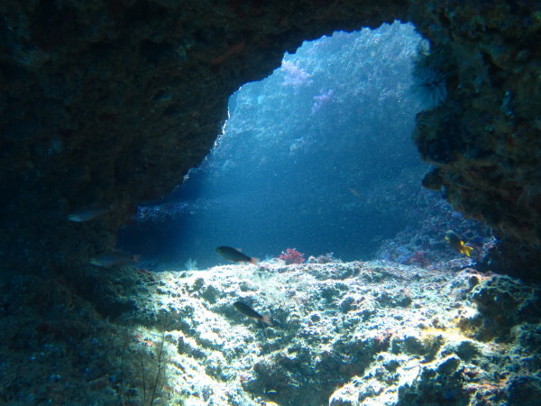 f0164662_15111844.jpg