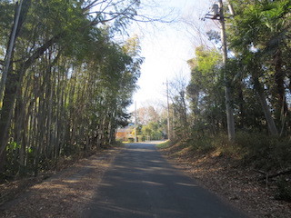 d0389166_18333390.jpg