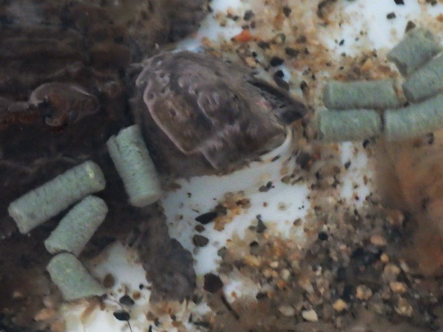 c0105569_00375724.jpg