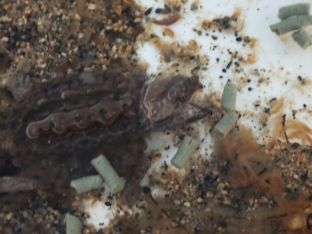 c0105569_00380718.jpg