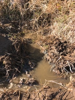 田んぼに水を入れました_b0034072_18504738.jpg