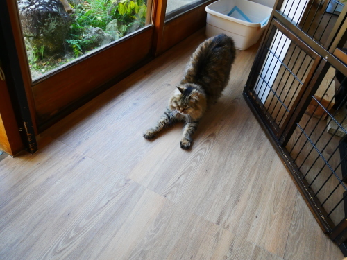 f0054677_08340489.jpg