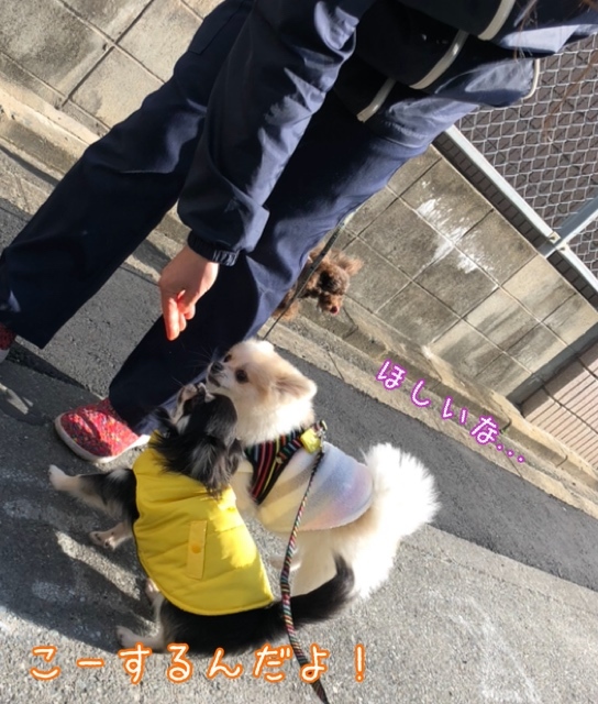 トレーニングブログ_f0357682_21322786.jpeg
