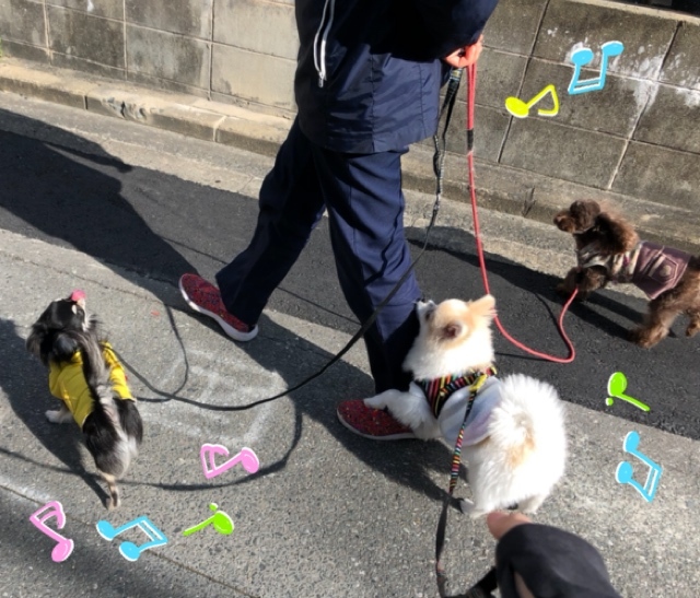 トレーニングブログ_f0357682_21363398.jpeg