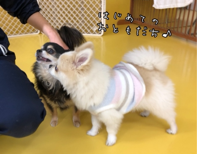 トレーニングブログ_f0357682_21423775.jpeg