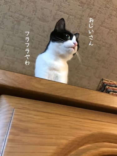 a0216583_22291425.png
