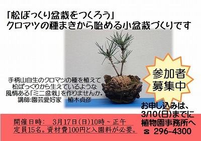 f0203094_10003886.jpg
