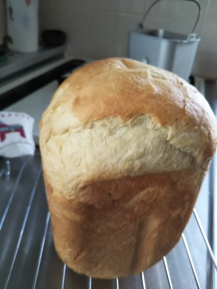 HBパン_f0316507_16443529.jpg