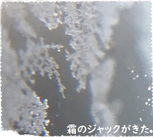 f0162908_21295669.jpg
