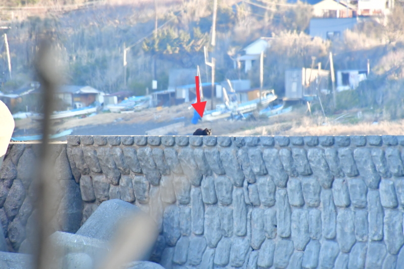b0223512_23050637.jpeg