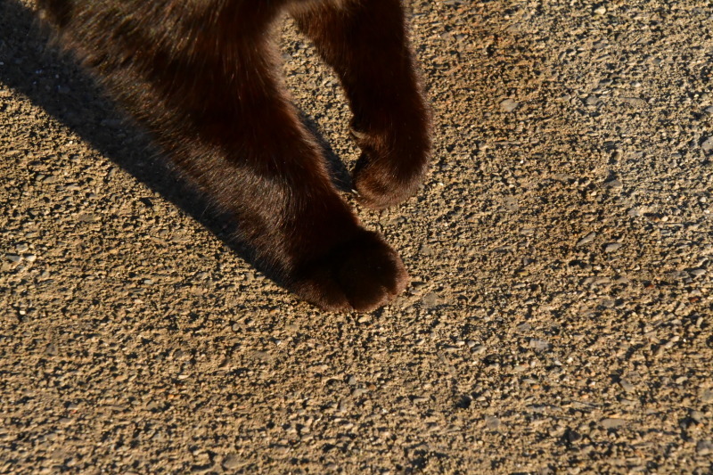 b0223512_23104157.jpeg