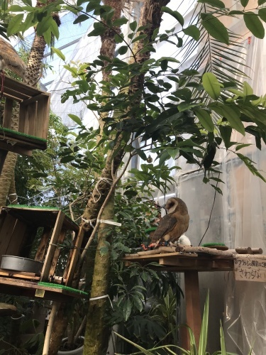 d0377714_12572112.jpeg