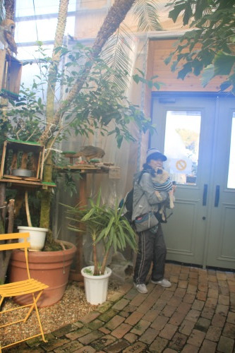 d0377714_12584593.jpeg