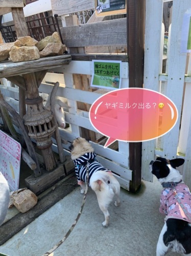 d0377714_13070123.jpeg