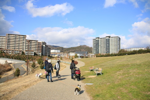 d0377714_13204158.jpeg