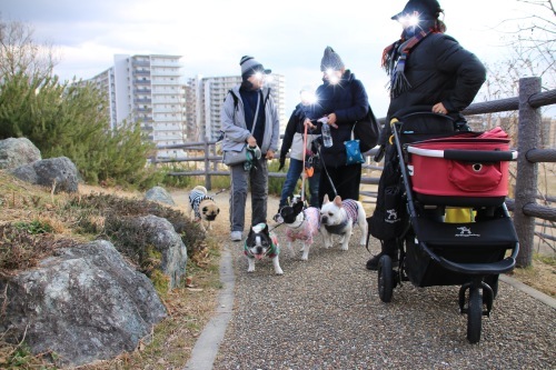 d0377714_14001278.jpeg