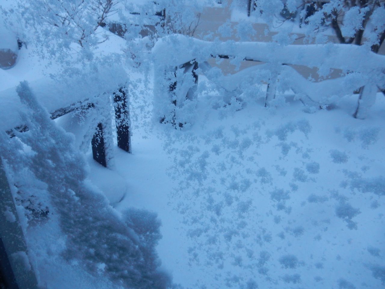 雪に埋まった_c0025115_21360881.jpg