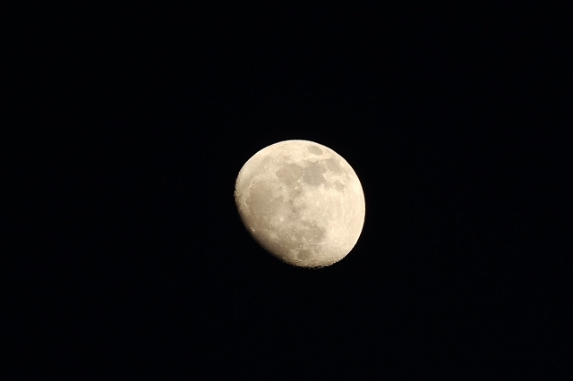 e0361216_17122942.jpg
