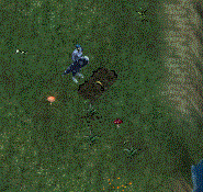 c0062717_01103897.gif