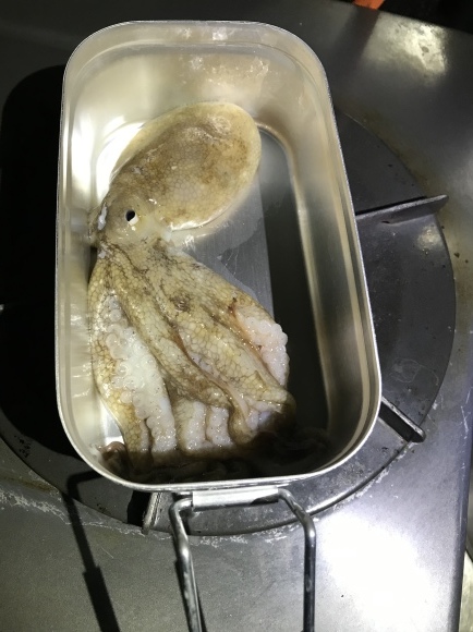 f0198620_23384641.jpeg