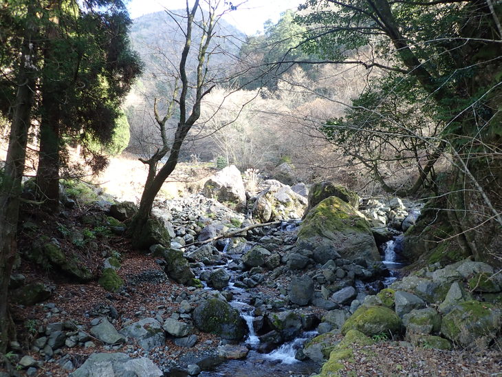 f0193521_4485112.jpg