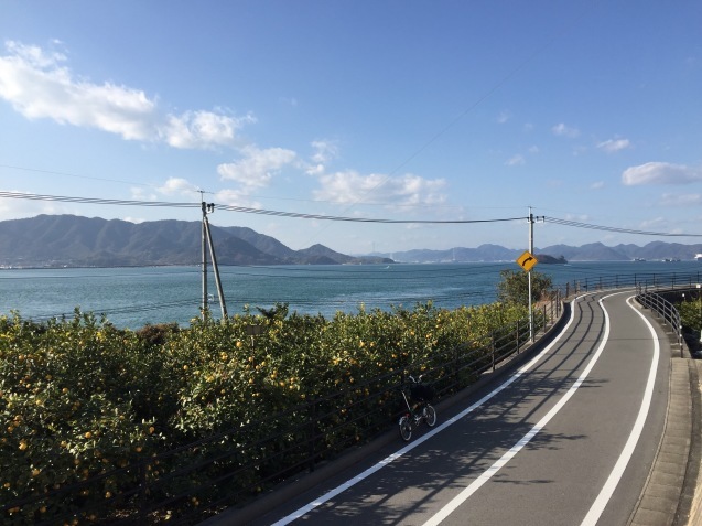 b0360823_17413755.jpeg